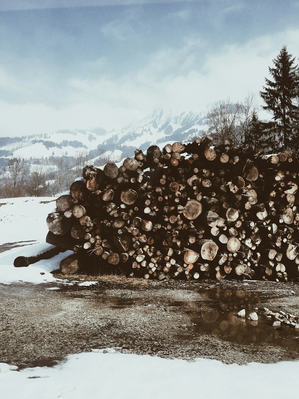 Lot de bûches d’arbres sous un ciel nuageux