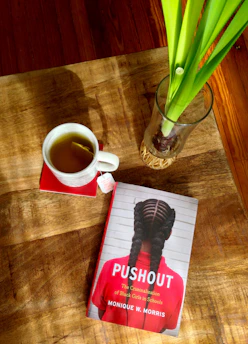 A wooden table holds a white mug with tea on a red coaster, a hardcover book titled 'Pushout' by Monique W. Morris with a cover image of a person with braided hair in a red shirt, and a glass vase containing green plant leaves.