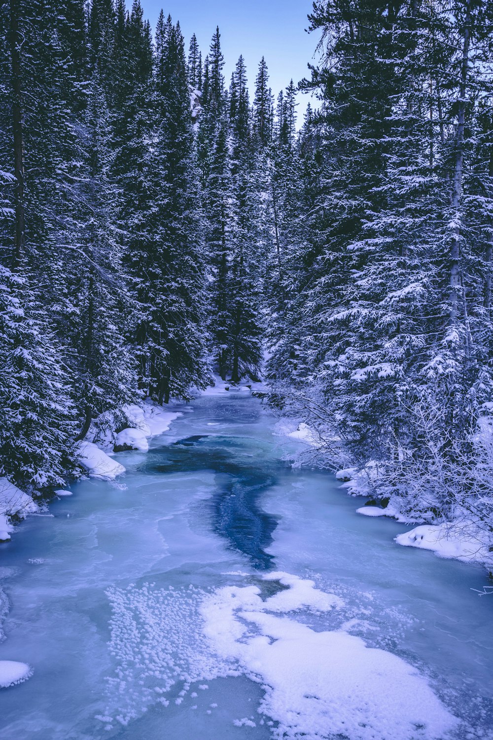 lake in the middle of forest