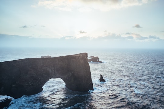 aerial photography of sea under clear blue sky during daytime in Cape Portland Iceland