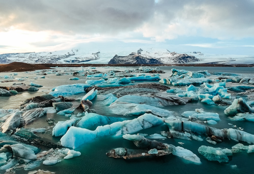 pile of ices on body of water