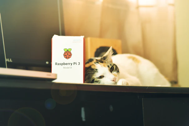 A calico cat is lying comfortably on a dark surface next to a box labeled 'Raspberry Pi 3 Model B'. A computer monitor can be seen in the background, with soft lighting giving the scene a warm, cozy ambiance.