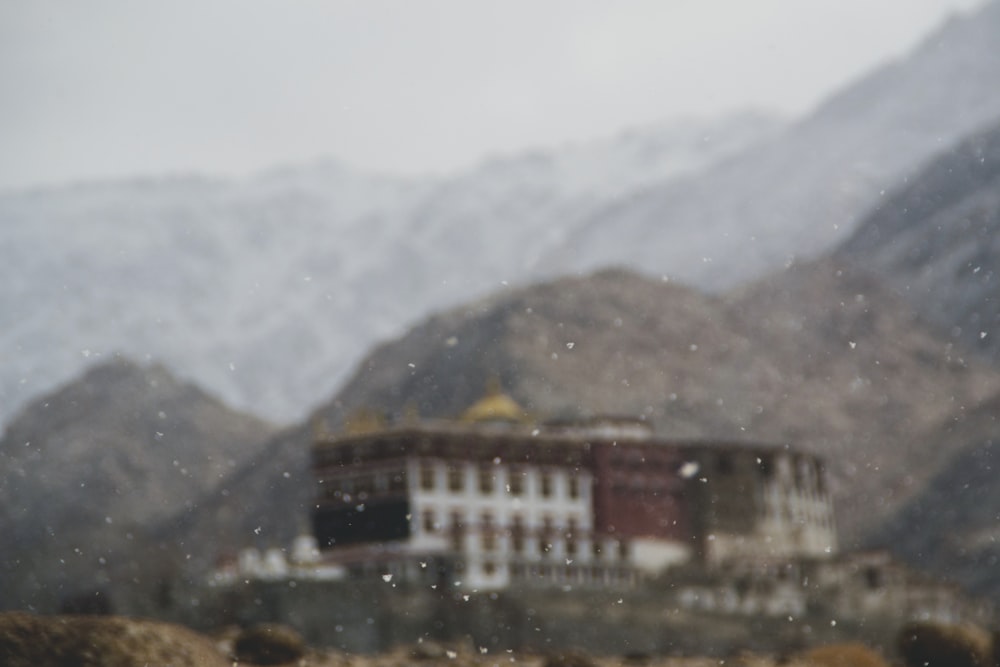 brown and gray building on mountain