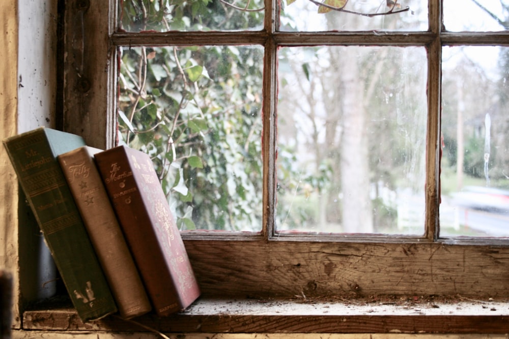 Tres libros apoyados en una ventana de cristal