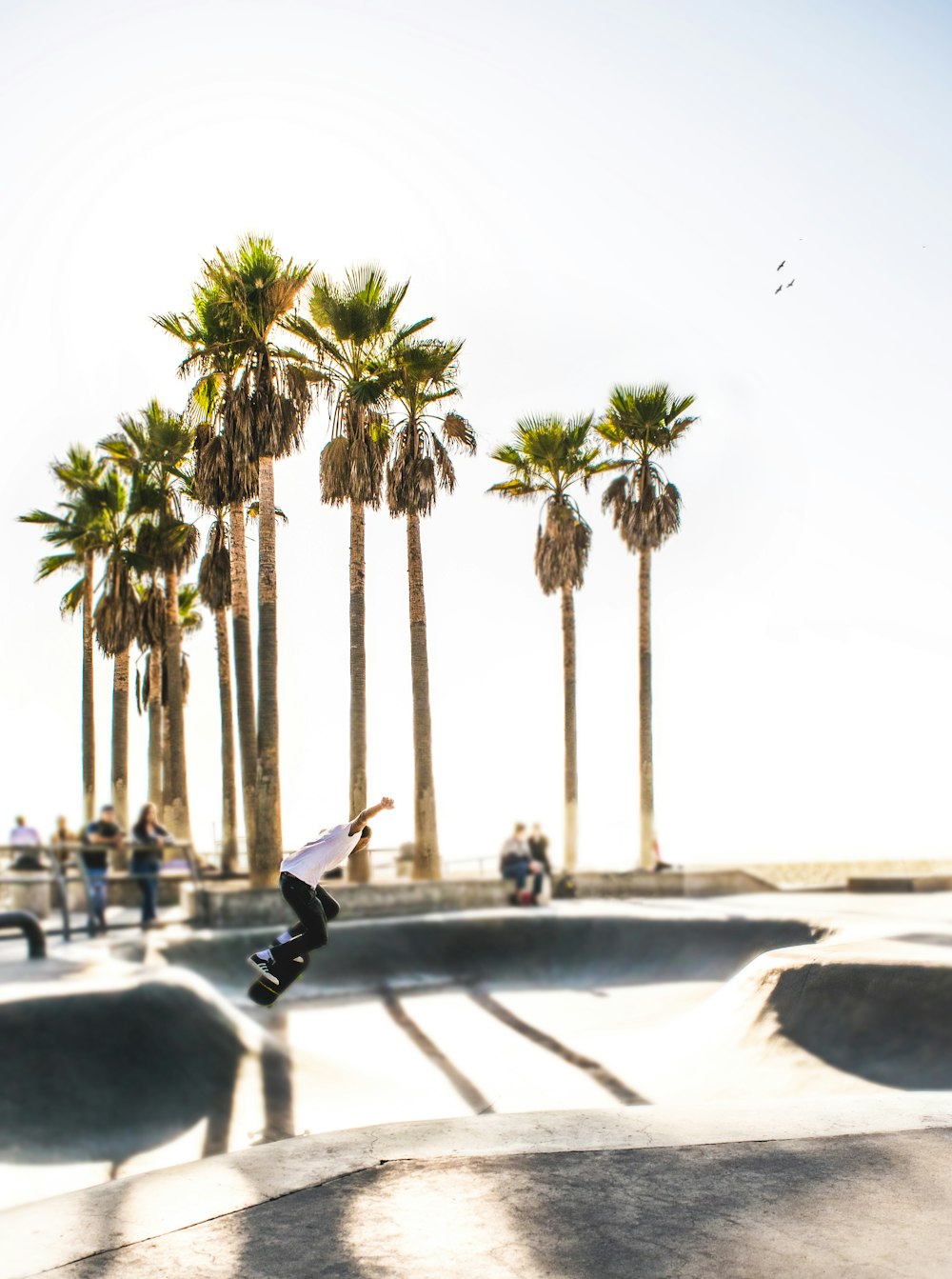 skateboarder in mid air