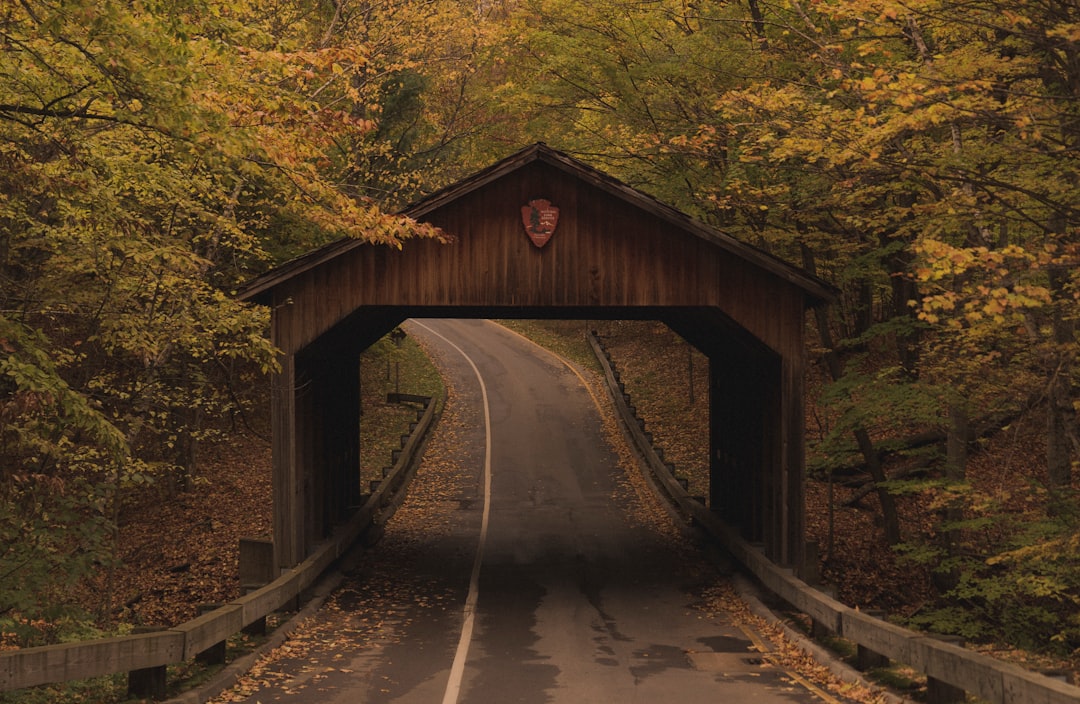 pathway surrounded by trees, Passing Through Sleeping Bear