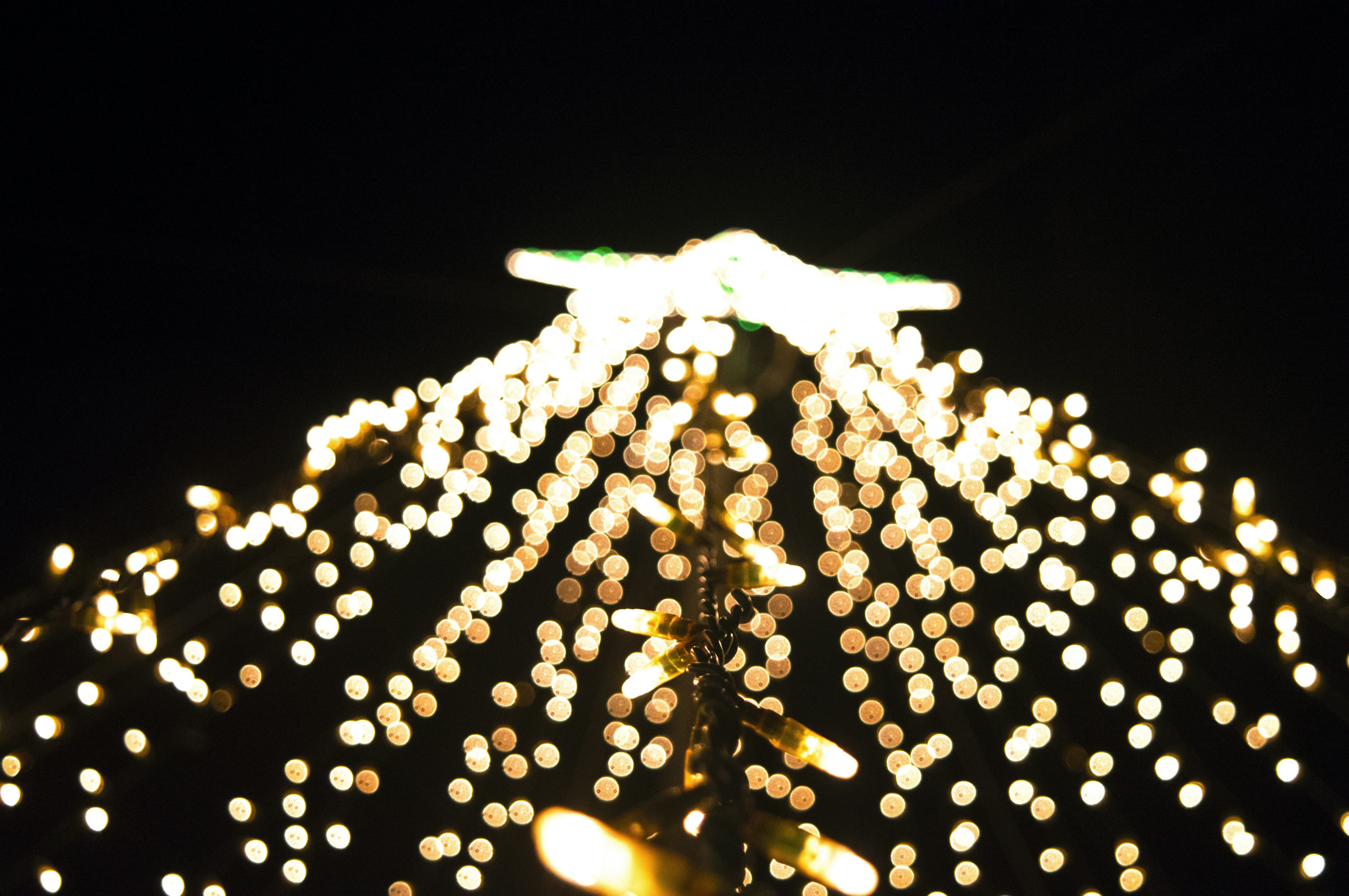 Photo by ruisilvestrecreative