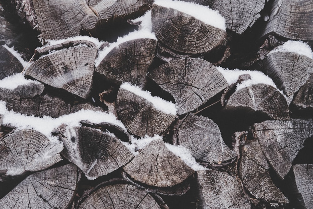 closeup photo of firewood stack