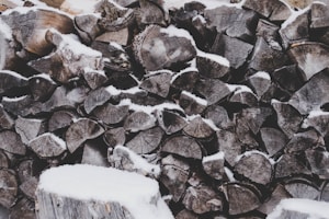 Hochwertiges Brennholz