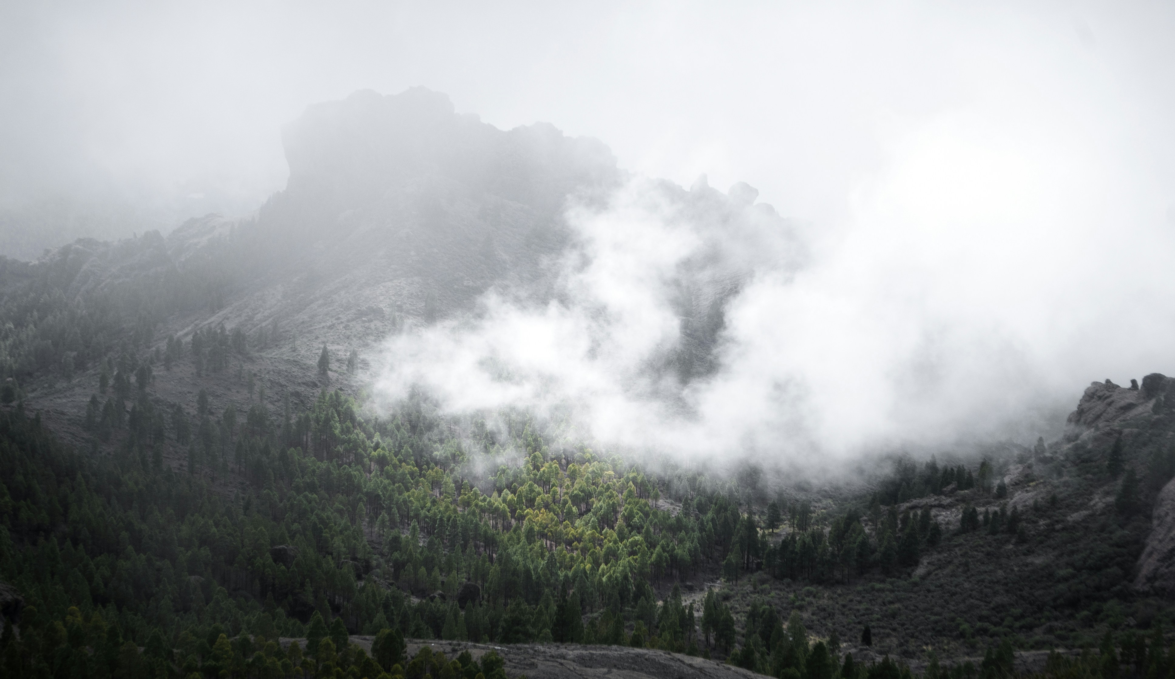 Photo by tomkeighley