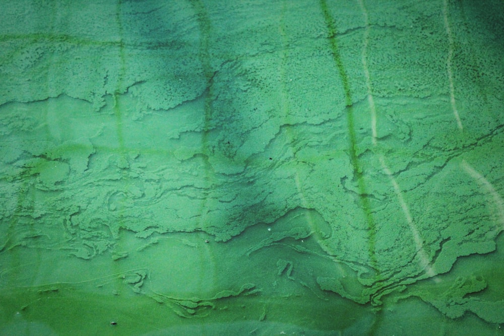 Fotografia aerea dello specchio d'acqua