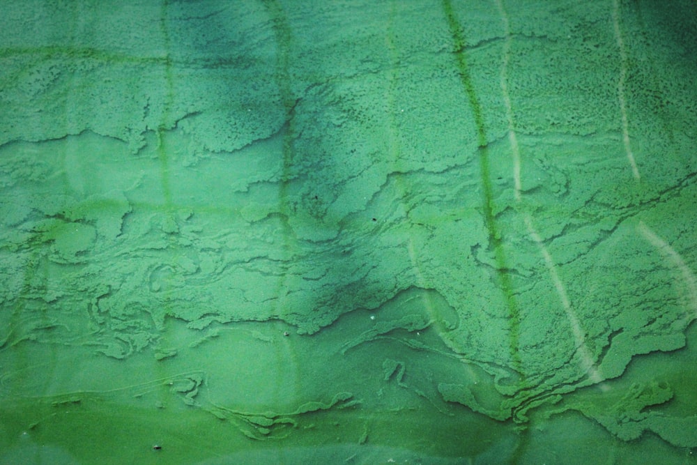 Luftbildaufnahme eines Gewässers