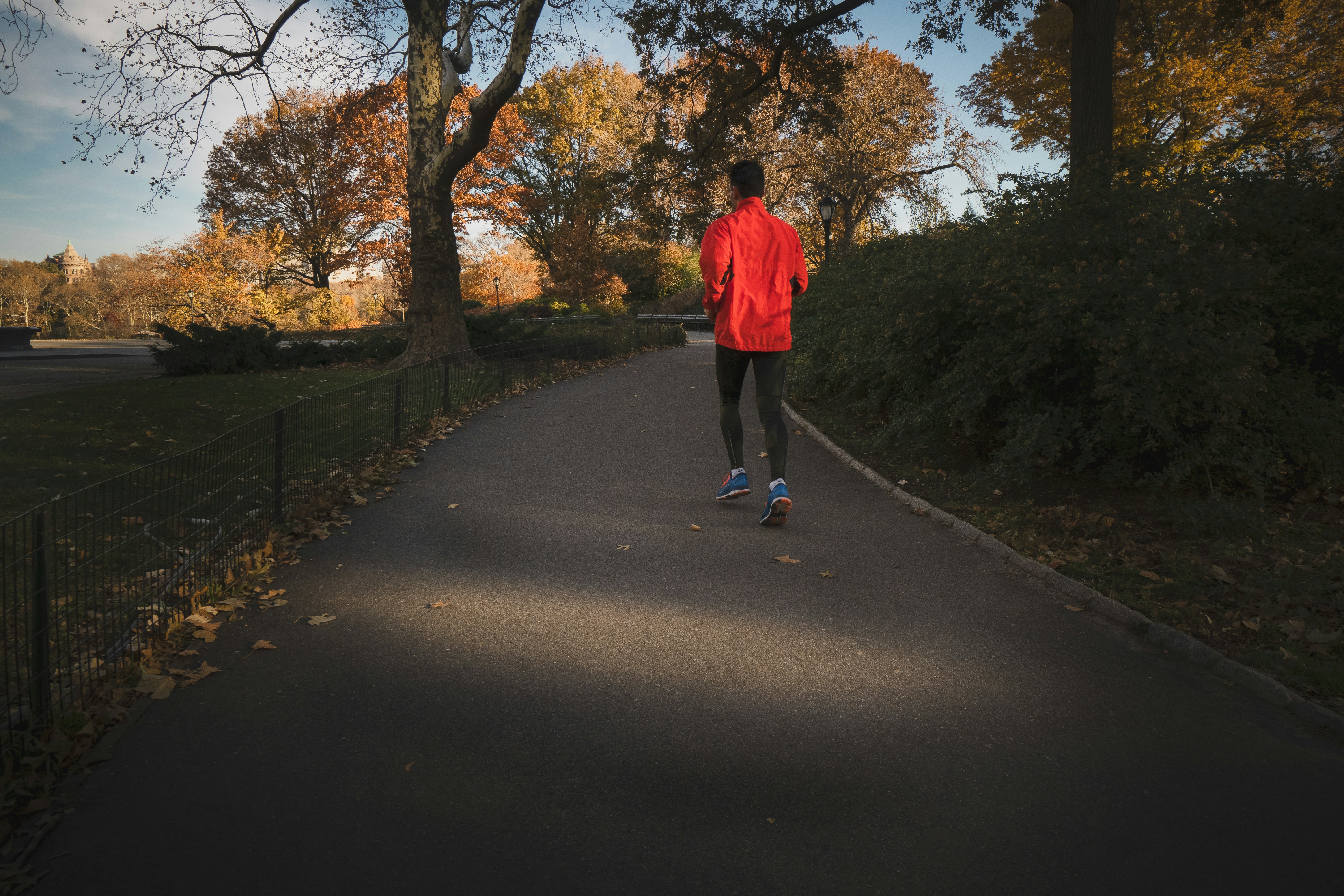 person jogging near park during daytime