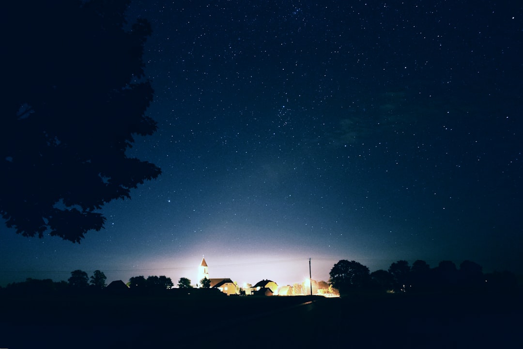 houses and trees under bright stars and sky