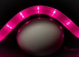 A smooth, white egg is positioned against a dark background, illuminated by a curved strip of bright pink LED lights forming an arc above it. The pink light casts a soft glow on the surface of the egg, highlighting its smooth texture and creating an interesting visual contrast with the dark surroundings.