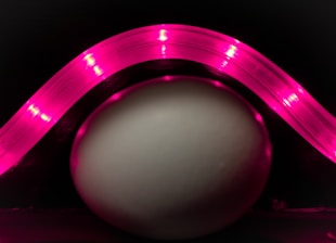 A smooth, white egg is positioned against a dark background, illuminated by a curved strip of bright pink LED lights forming an arc above it. The pink light casts a soft glow on the surface of the egg, highlighting its smooth texture and creating an interesting visual contrast with the dark surroundings.