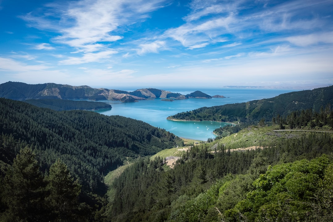 travelers stories about Nature reserve in Picton, New Zealand