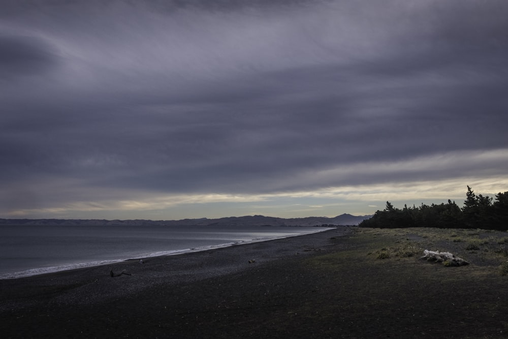 Foto de la costa cerca del mar con árboles