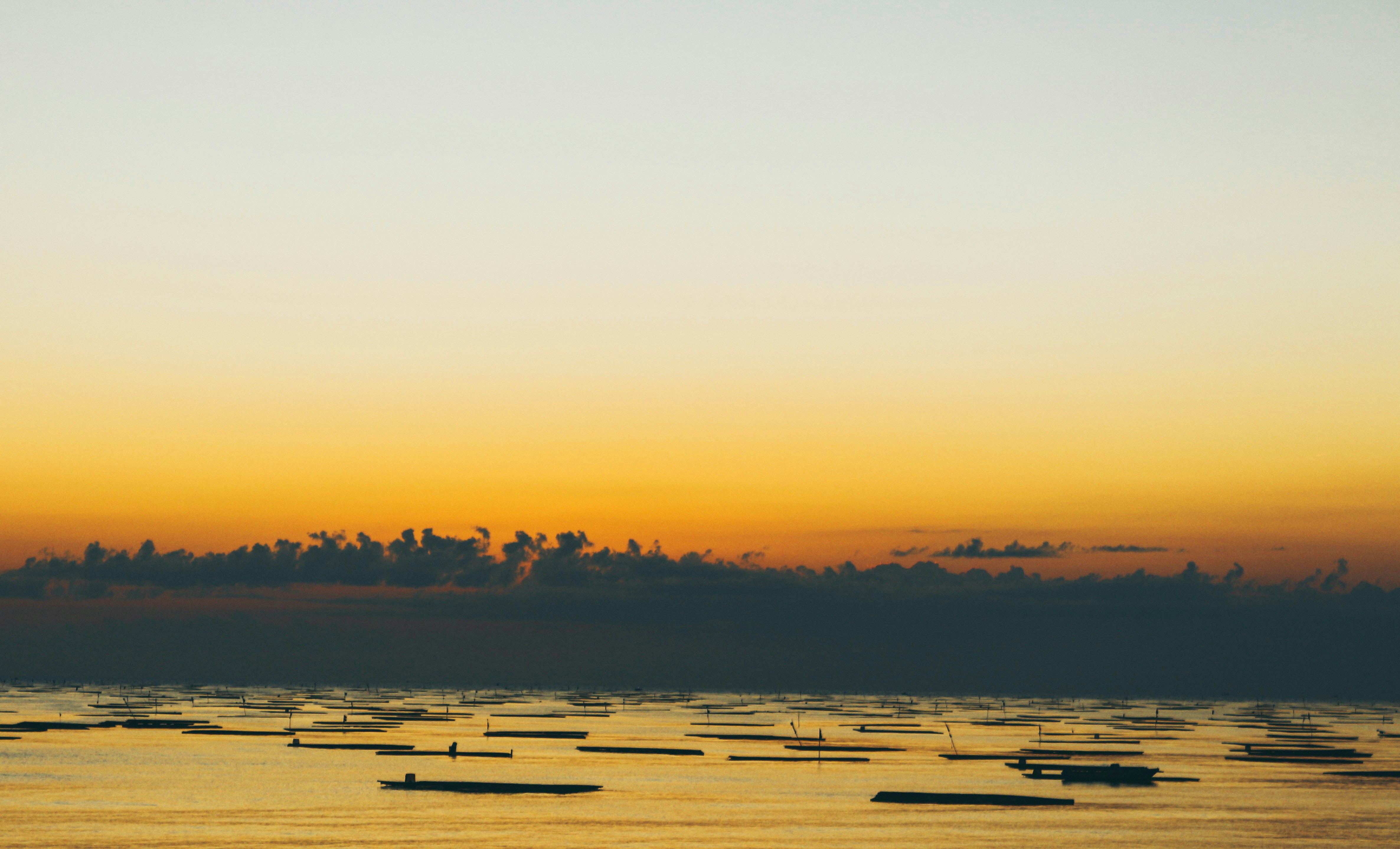 Photo by zoe_august0812