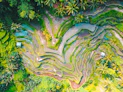 aerial photography of rice terraces during daytime