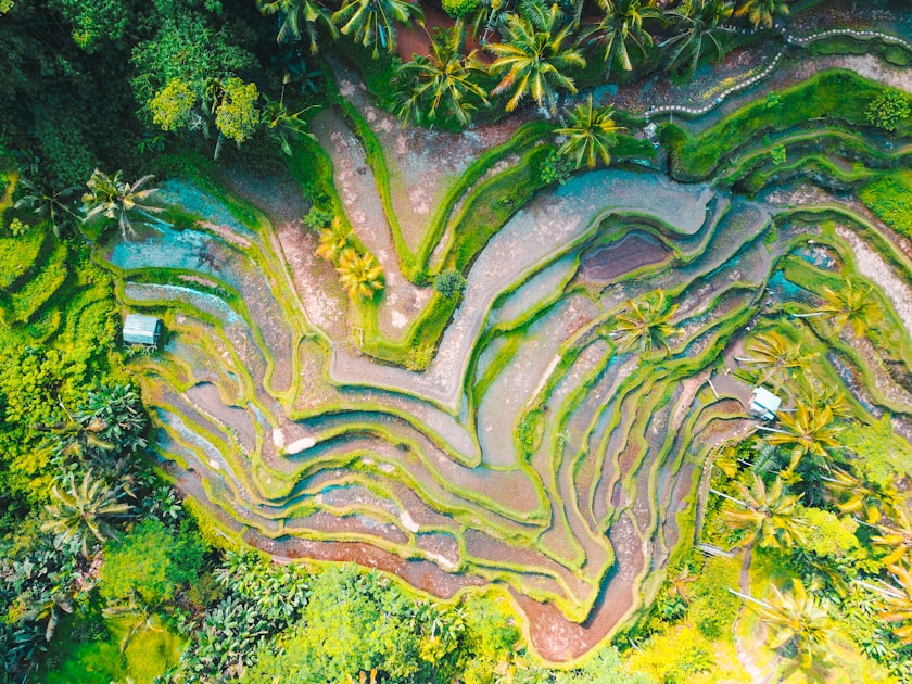 Ho Chi Minh City Launches Helicopter Tours: A New Perspective for Dental Tourists