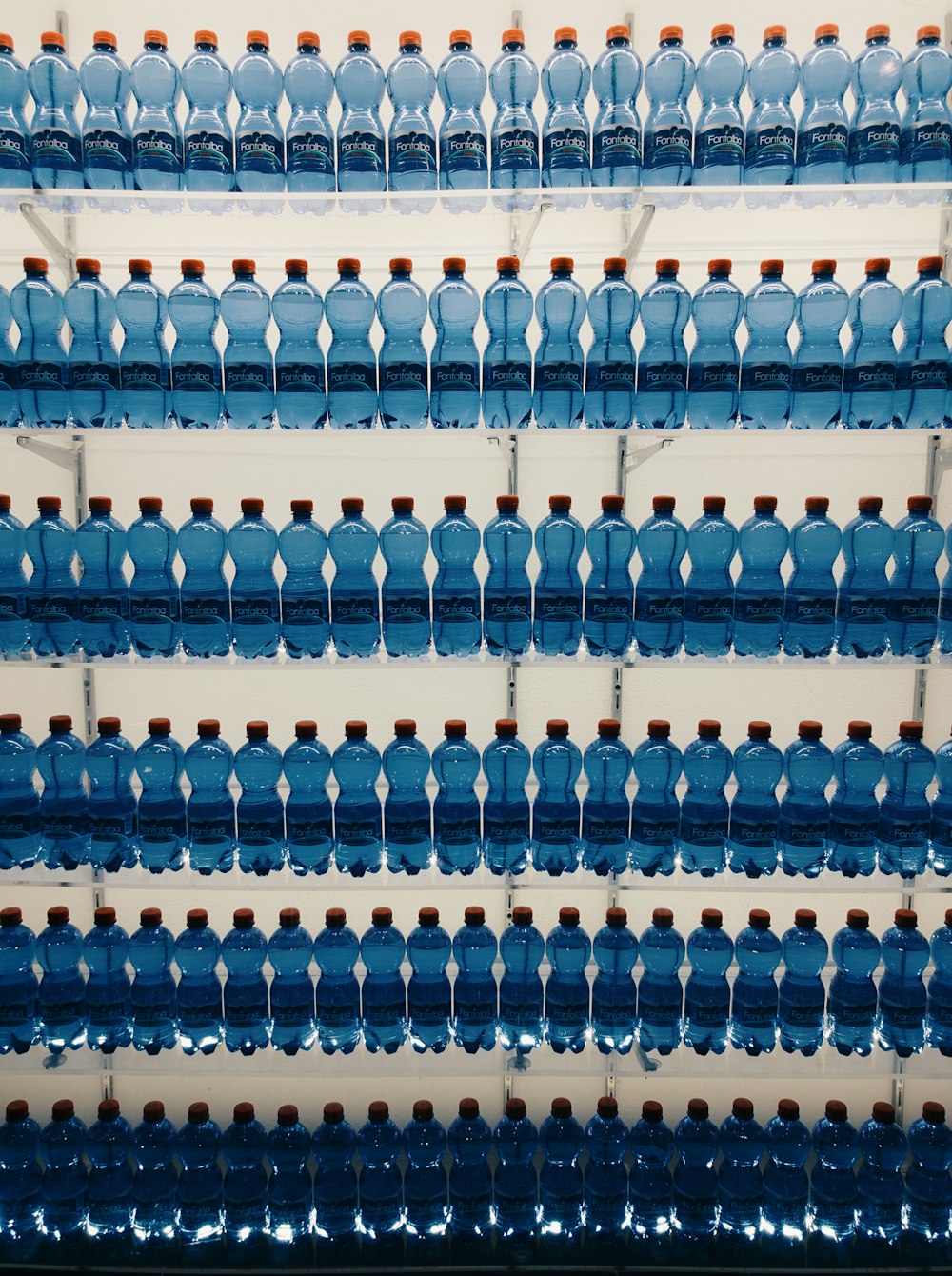 acque in bottiglia assortite sullo scaffale
