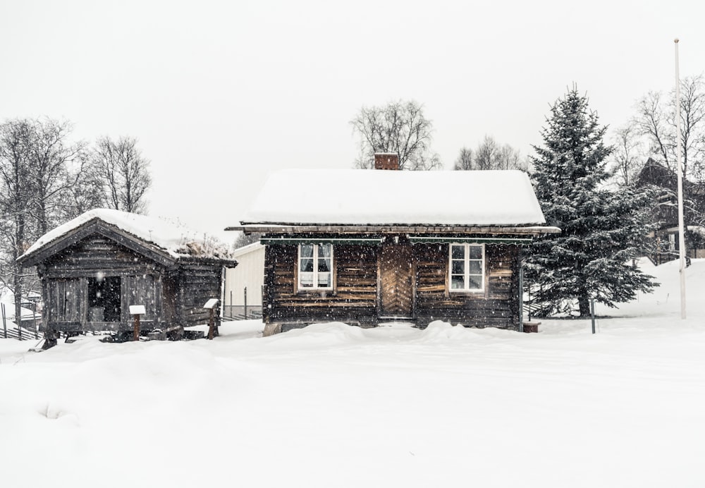 brown snow covered house