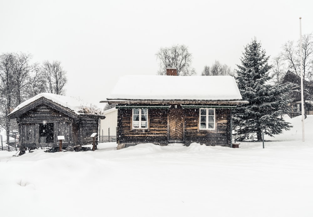 braun schneebedecktes Haus