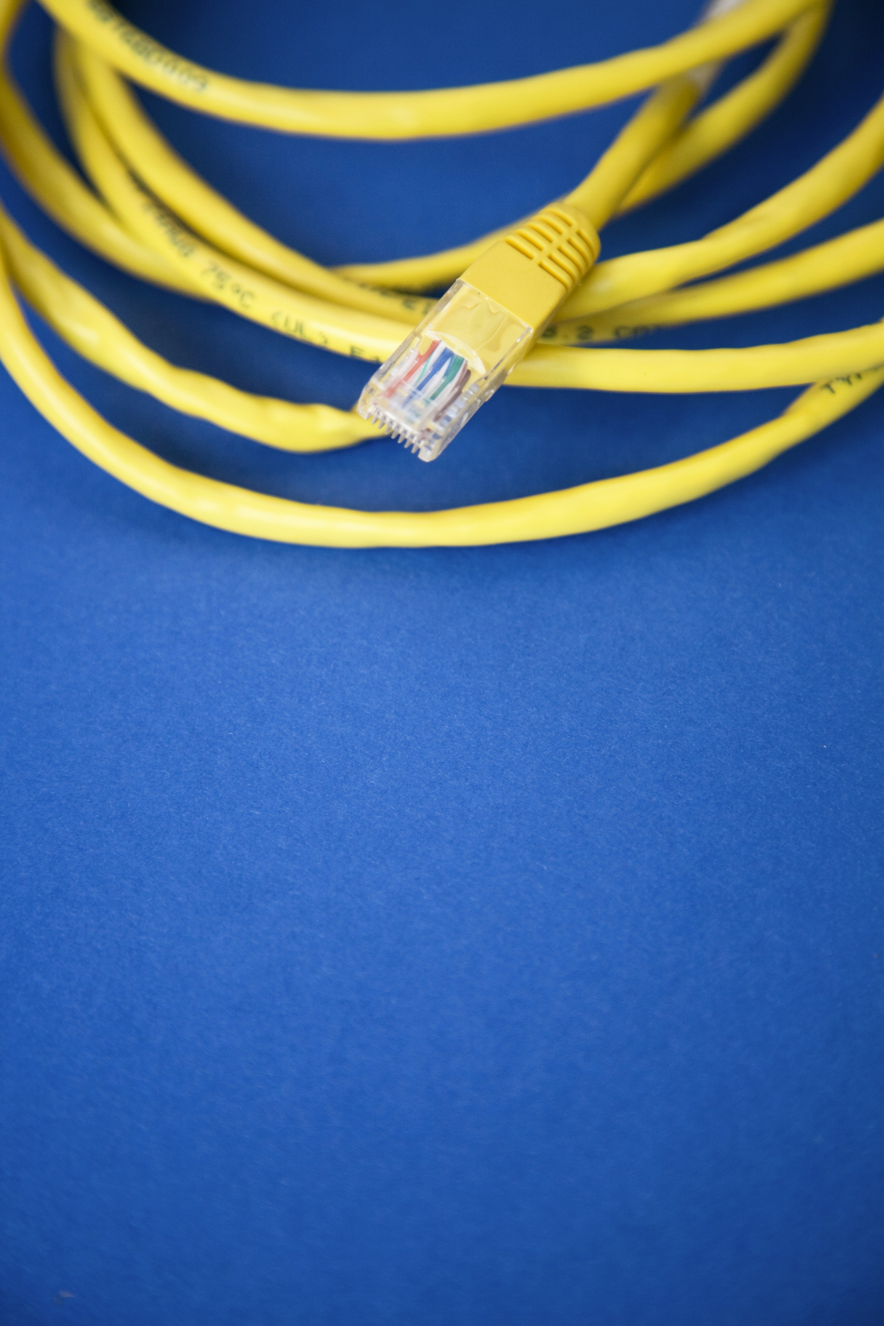 Ethernet cable on blue surface