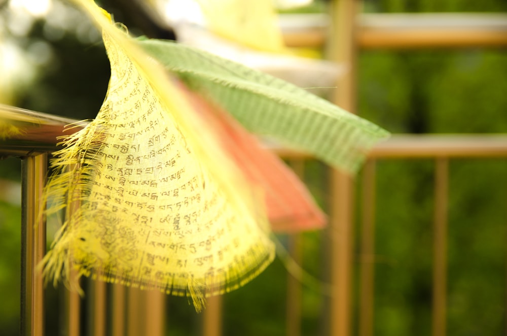 selective focus of yellow bunting