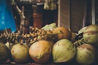 A collection of coconuts and their stems is placed on a surface, with a variety of green and brown hues. The setting appears rustic with blurred wooden structures and plastic bags in the background, suggesting a market or roadside stall environment.