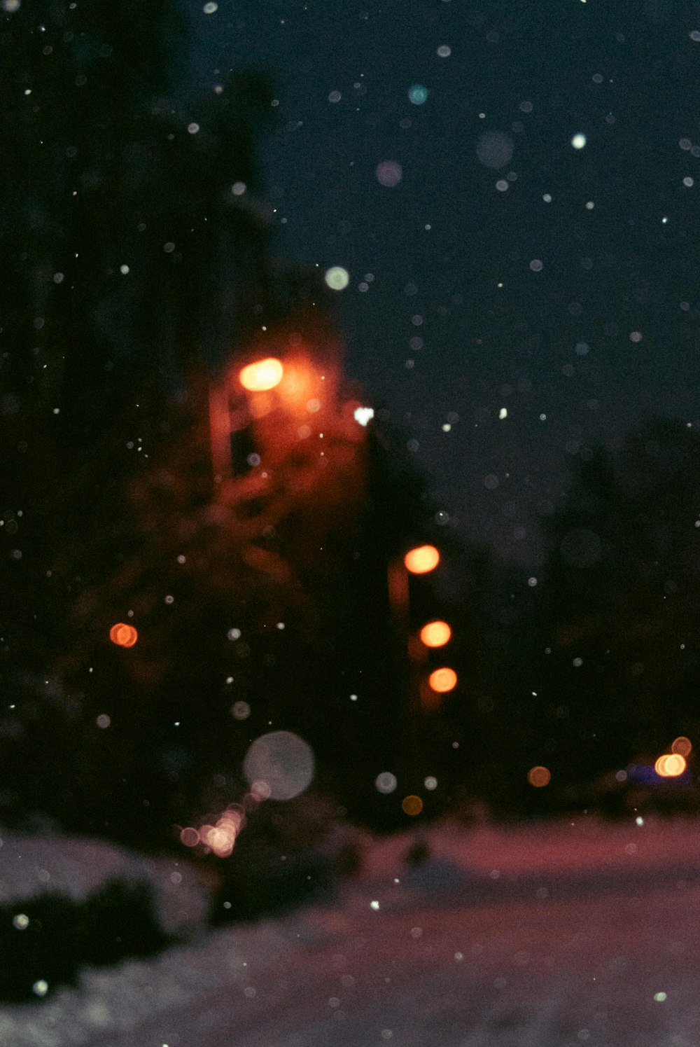 500 Stunning Bokeh Pictures Hd Download Free Images Stock Photos On Unsplash