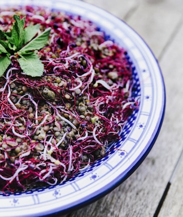 A bowl filled with a mixed salad composed of green lentils and vibrant red sprouts. The dish is garnished with fresh mint leaves, all served on a patterned blue and white ceramic plate placed on a wooden surface.