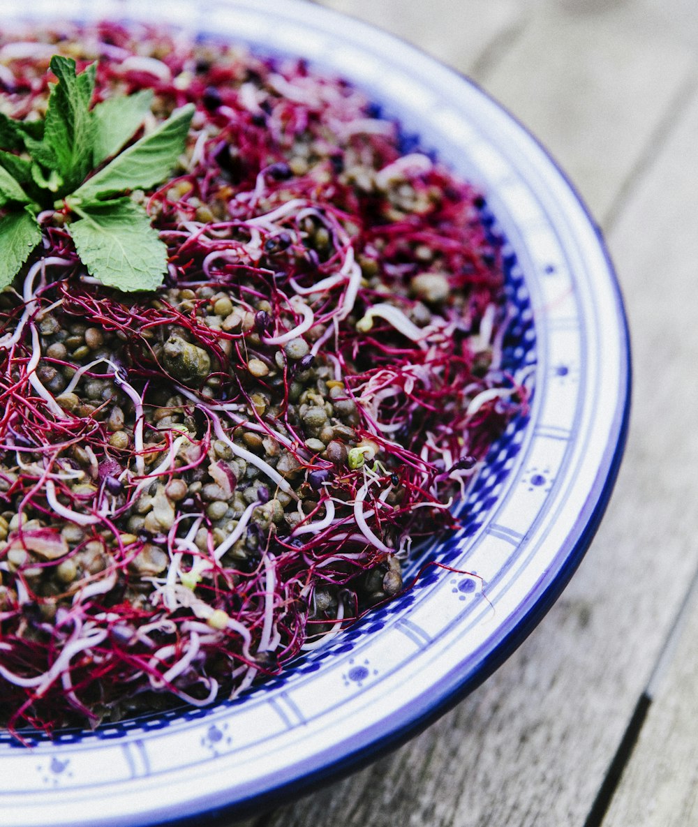 a blue and white bowl filled with red cabbage sprouts