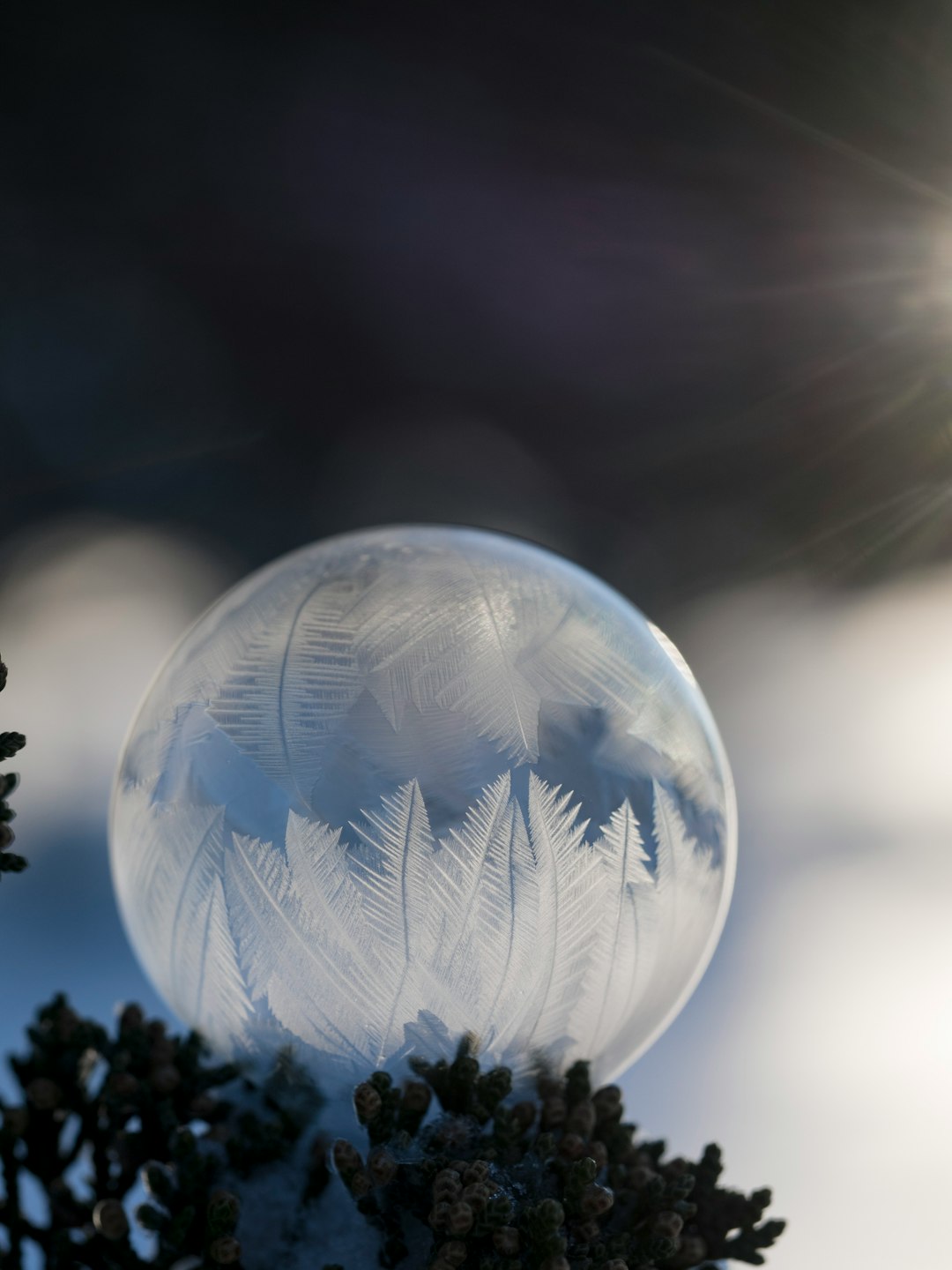 shallow focus photography of crystalized droplet