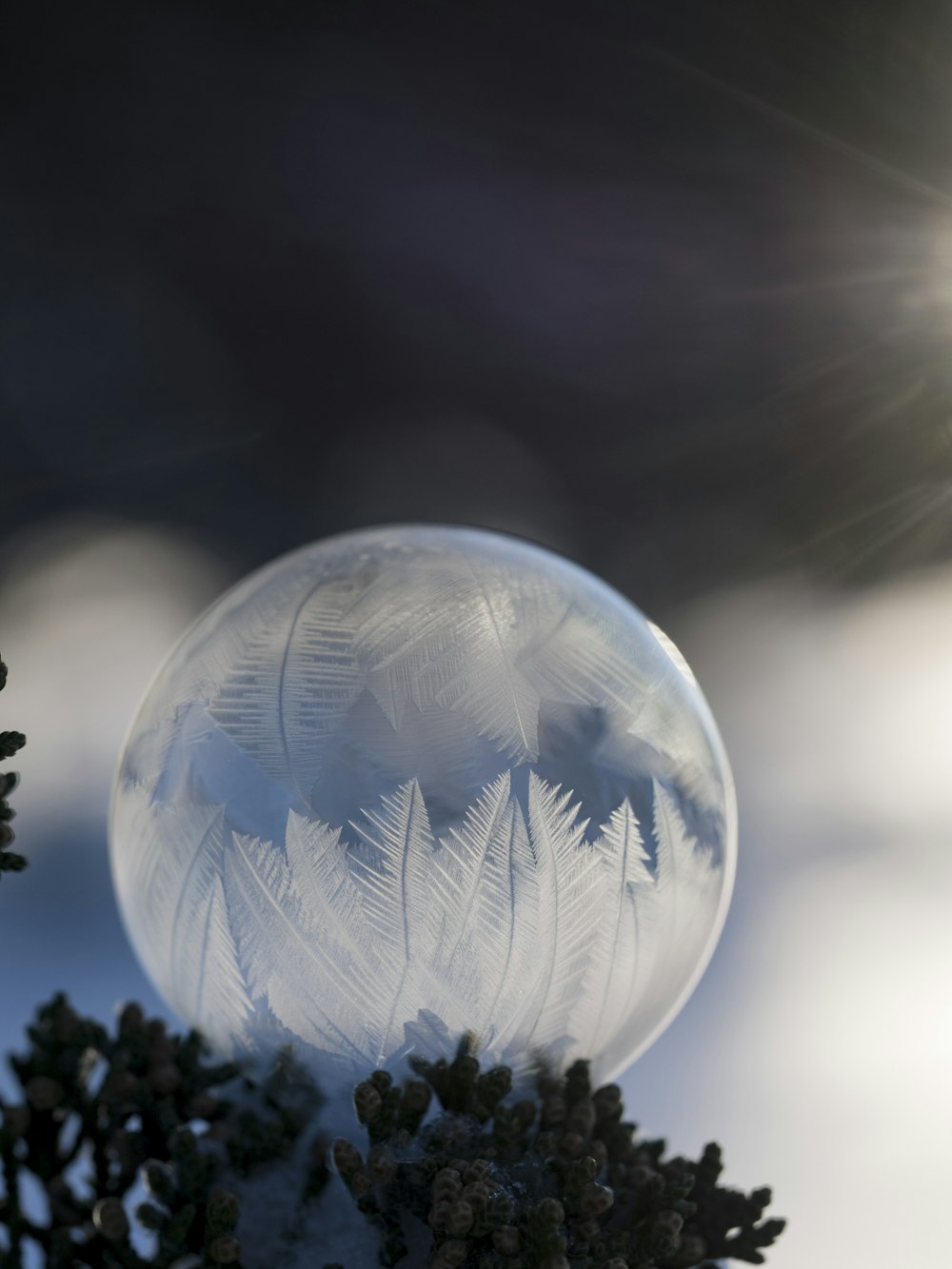 Flachfokusfotografie von kristallisierten Tröpfchen