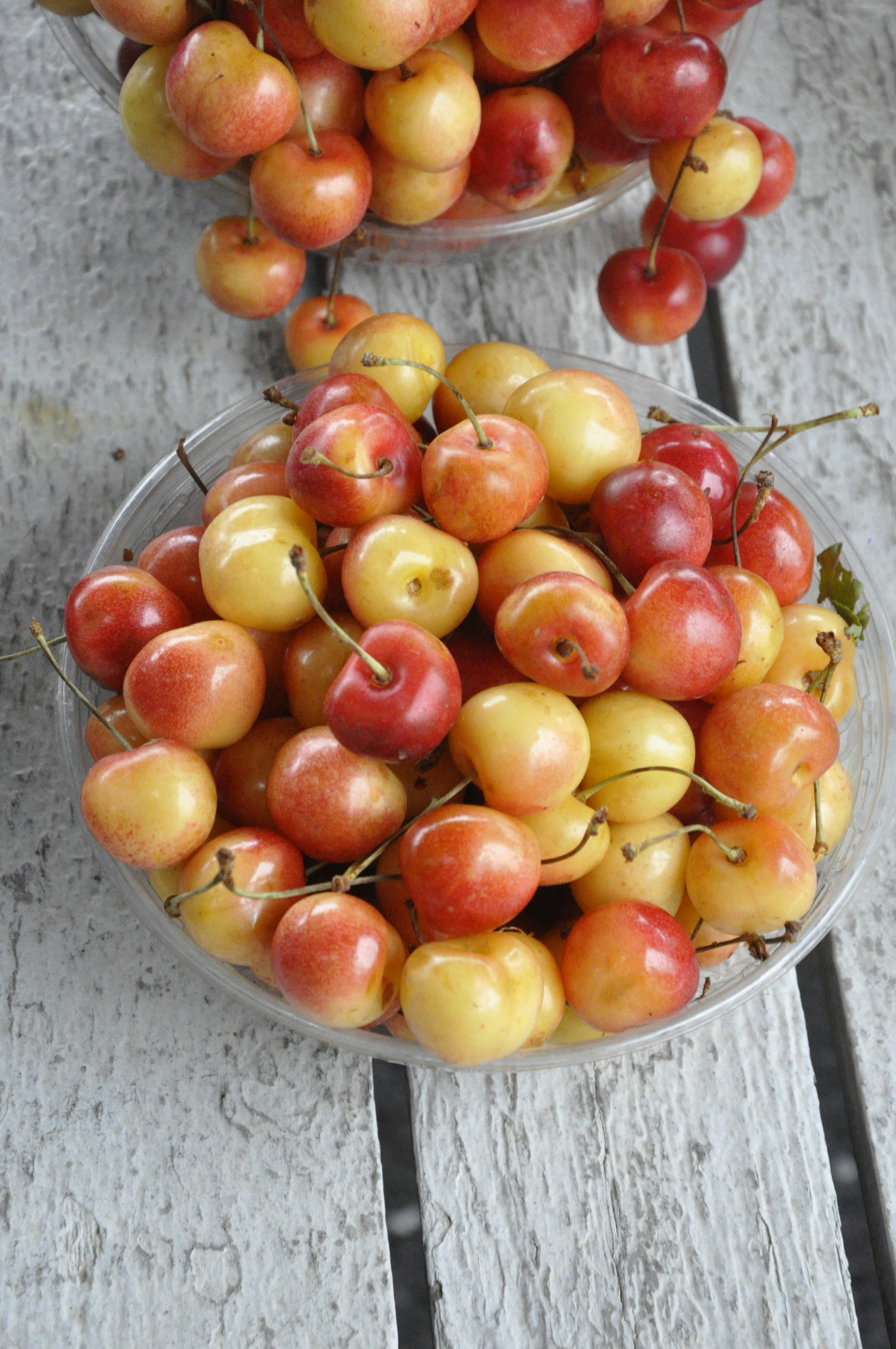 Golden Rainier cherry conserve in a jar with whole cherries visible through the glass
