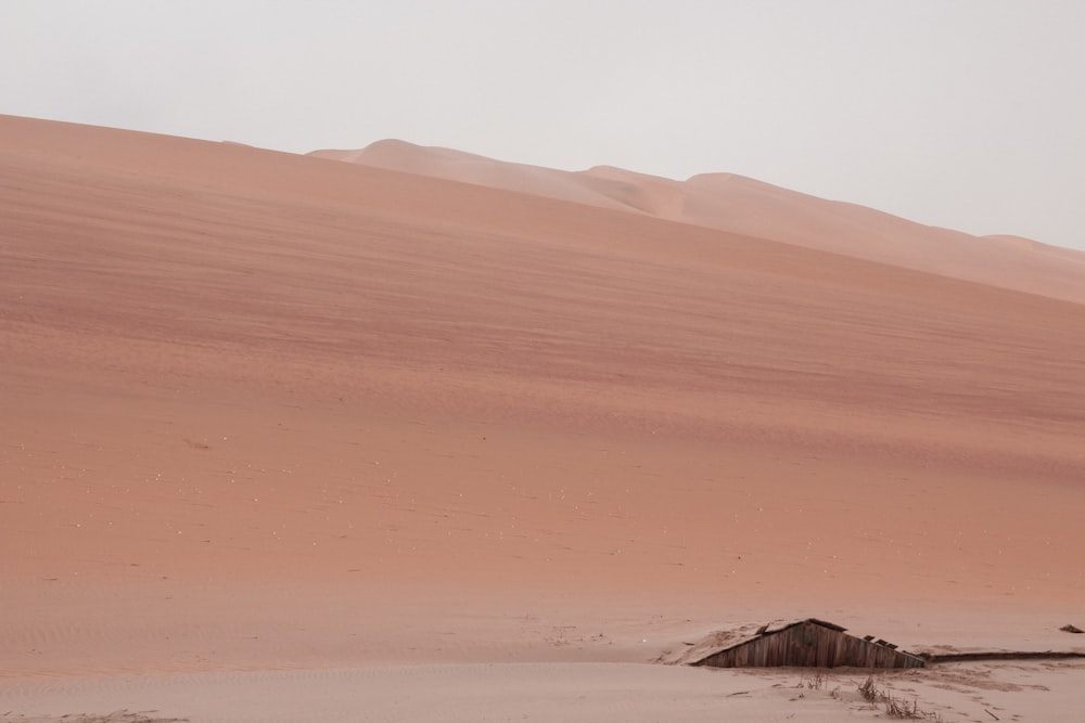 sand dunes