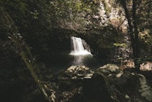 A picturesque waterfall cascades gently into a serene pool surrounded by lush greenery and rocky formations. The surrounding dense foliage creates a tranquil and secluded atmosphere, with sunlight filtering through the trees, highlighting the natural beauty of the landscape.