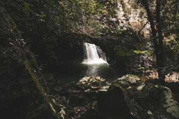 A picturesque waterfall cascades gently into a serene pool surrounded by lush greenery and rocky formations. The surrounding dense foliage creates a tranquil and secluded atmosphere, with sunlight filtering through the trees, highlighting the natural beauty of the landscape.
