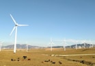 wind turbines on grass field