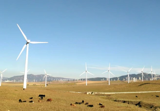 wind turbines on grass field