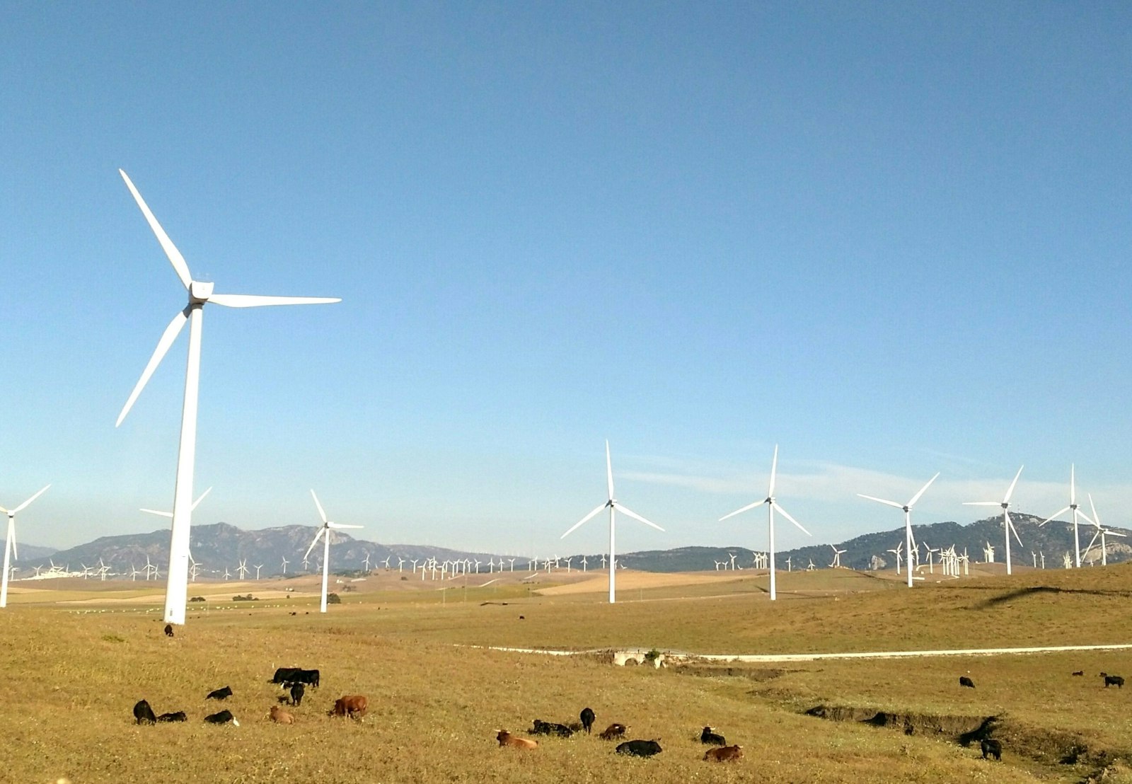 HUAWEI Honor 5X sample photo. Wind turbines on grass photography