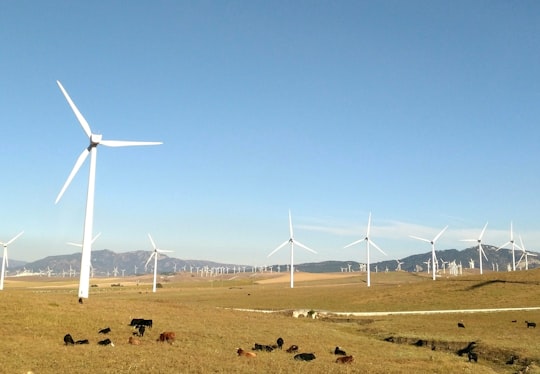 wind turbines on grass field in Seville Spain