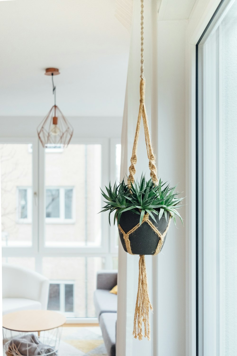 Planta en maceta colgante verde cerca de la ventana de vidrio durante el día