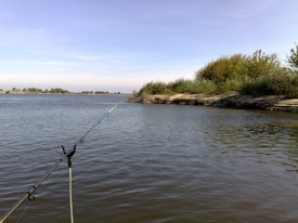 A tranquil landscape featuring a large body of water with a fishing rod extending into the scene. The shoreline is lined with dense green bushes and grass, under a clear blue sky with a few clouds.