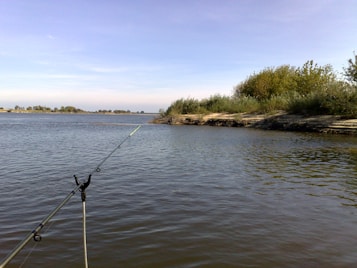 A tranquil landscape featuring a large body of water with a fishing rod extending into the scene. The shoreline is lined with dense green bushes and grass, under a clear blue sky with a few clouds.
