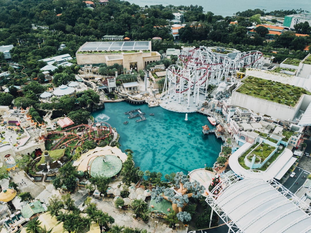 aerial view photography of pool during daytime