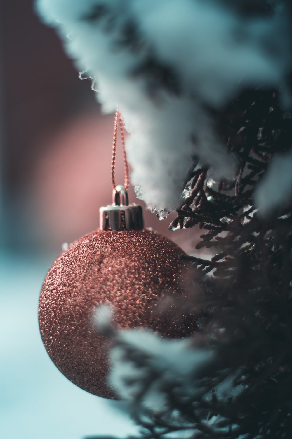 Photographie sélective de la mise au point de la boule de Noël