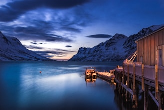 white boat near house on river during nighttime